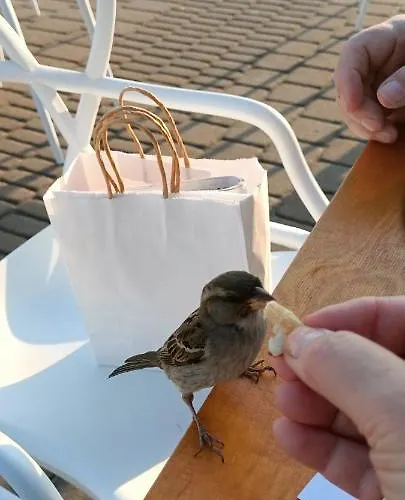 アパート Amber 127m2 + Terrace