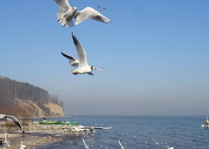 Amber 127m2 + Terrace アパート グディニャ